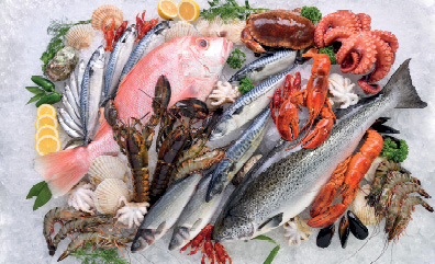 O ómega-3 é assim tão importante para o cérebro?